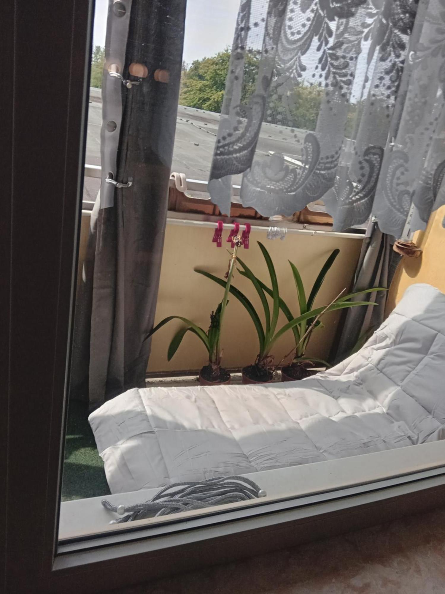Wohnung 416, Am Kurpark 3, 38700 Braunlage Kültér fotó